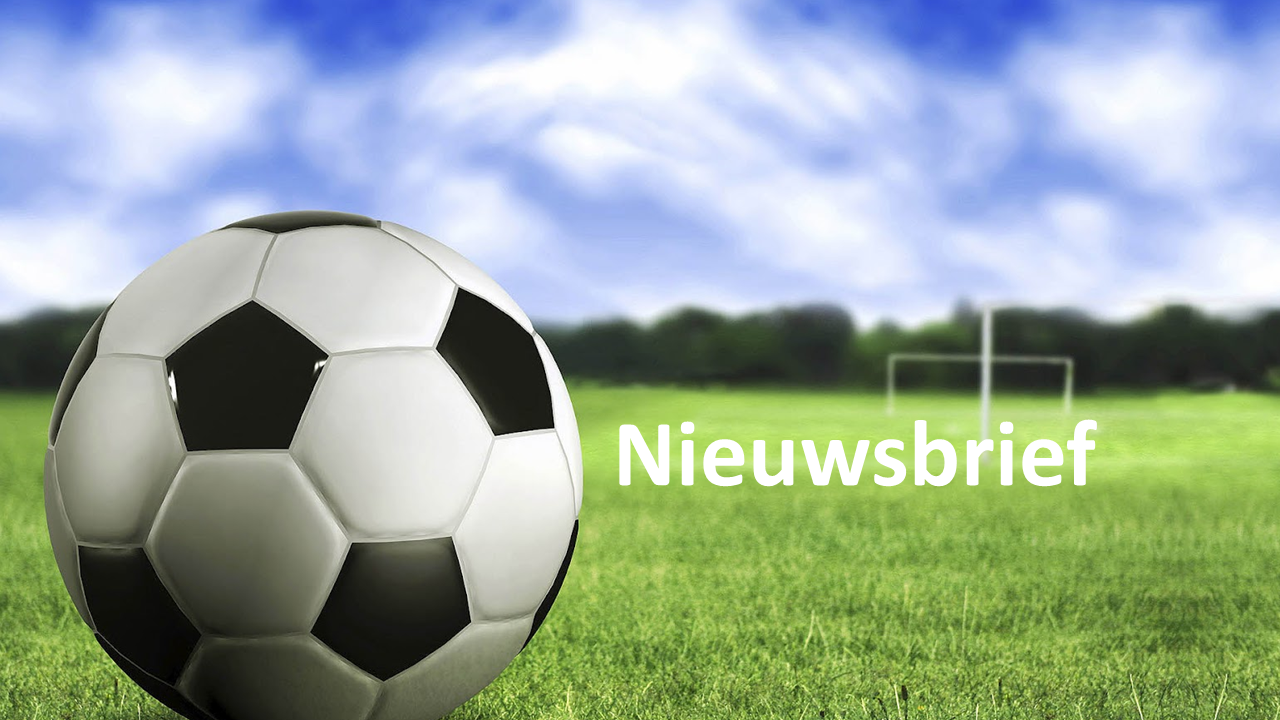 Nieuwsbrief 12